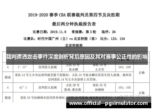 裁判遭遇攻击事件深度剖析背后原因及其对赛事公正性的影响