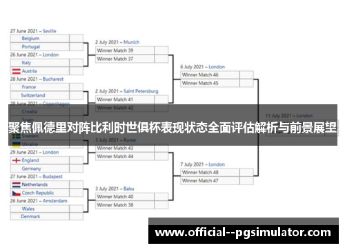 聚焦佩德里对阵比利时世俱杯表现状态全面评估解析与前景展望